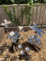 x. Root Assortment.jpg